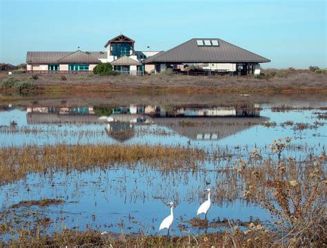 Living coast discovery center - The Living Coast Discovery Center is a chance to explore Southern California's plants and animals on the 316-acre Sweetwater Marsh National Wildlife Refuge. If you're looking for a wildlife adventure, this is the place! Duration: 2-3 hours. Meets animal welfare guidelines. 